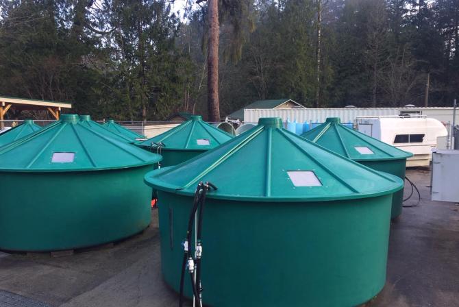 Outdoor fisheries research tanks 