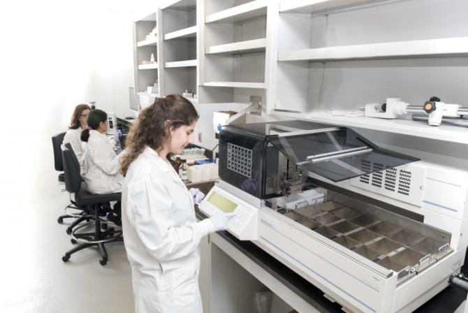 Researchers at work in the laboratory
