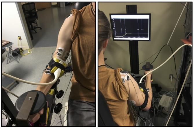 Arm device set-up where subject with electrodes and measurement devices attached to the right arm and hand sits in a chair and faces a computer monitor displaying graphics feedback on measurements 