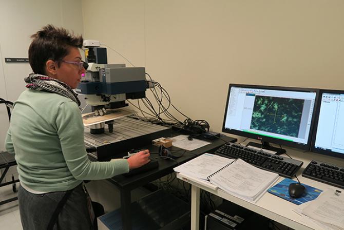 Conservation scientist using the Raman spectrometer for analysis