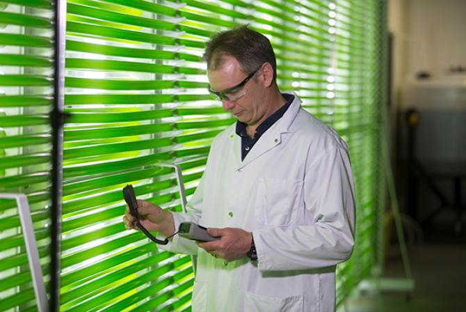 Researcher standing in front of a wall of fluorescent green tubes