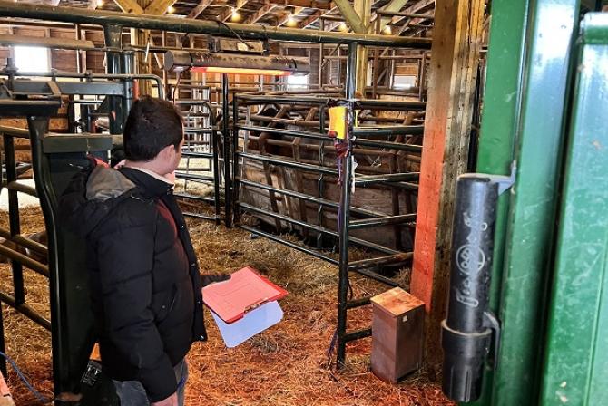 Une personne tient un bloc-notes tout en regardant le bétail dans une grange.