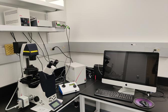 Infrastructure de recherche: microscope à épifluorescence DMI6000 de Leica avec caméra ORCA-ER de Hamamatsu.