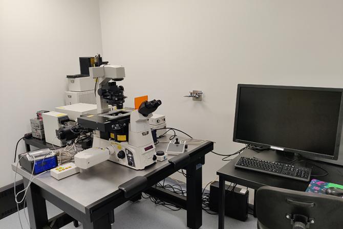 Infrastrcture de recherche: Microscope Ti de Nikon et caméra Prime BSI de Photometrics.