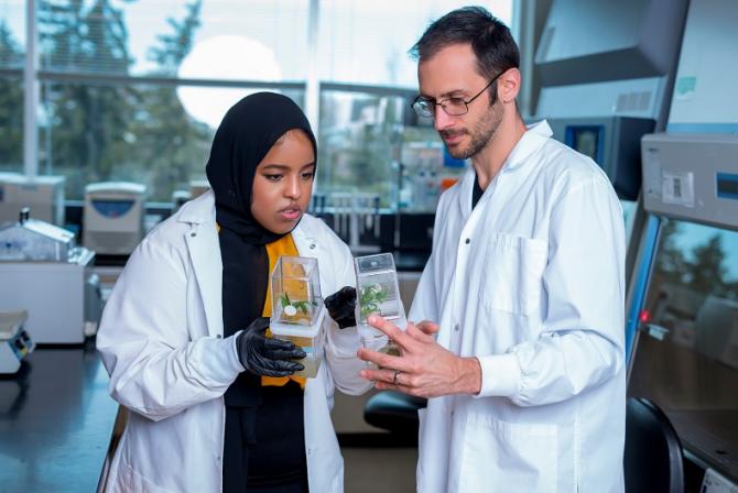 Two people examine leafy growths in jars.
