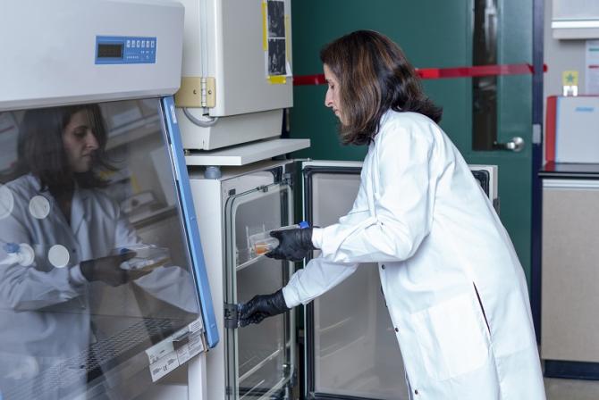 A person places samples in an incubator.