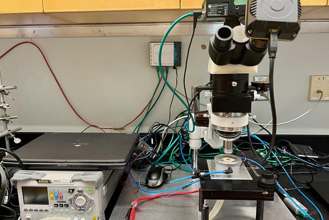 Research infrastructure: cryo-microscopy station.