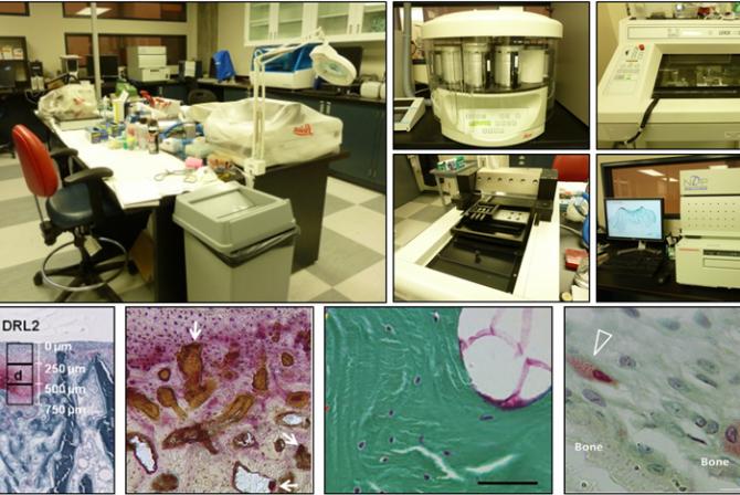 A collage of instruments and images produced by the histology research infrastructure