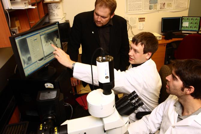 Dr. Hanley and students at work in the lab