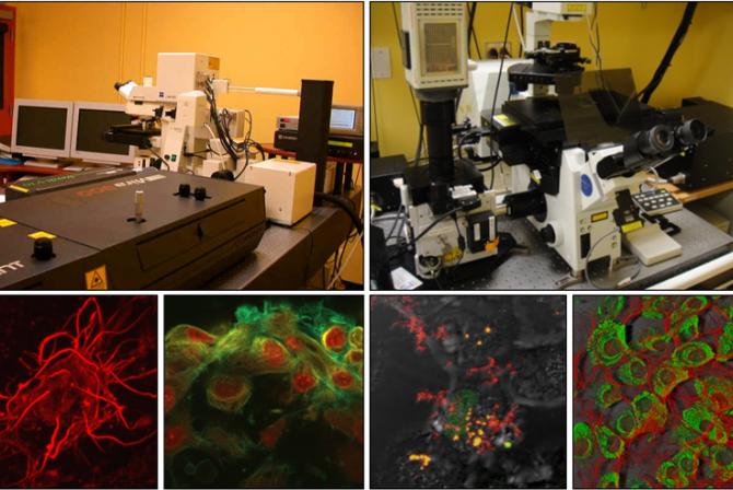 A collage of equipment and images produced by the confocal microscopy research infrastructure