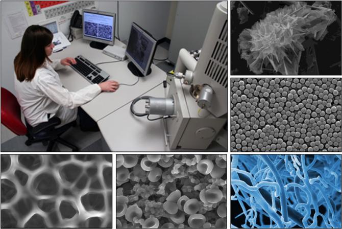 A collage of images including a person sitting in front of a computer and a series of images produced by the electron microscopy research infrastructure