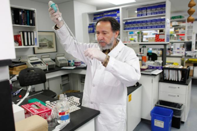 Researcher at work in the laboratory