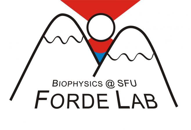 Biophysics @ SFU - Forde Lab