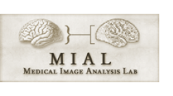 Medical Image Analysis Lab (MIAL)