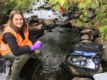 Researcher collects water samples from a river