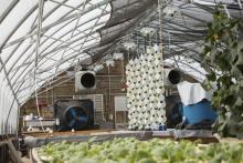 Vertical culture in a greenhouse