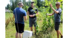 Trois chercheurs sur le terrain examinent des plantes à feuilles vertes
