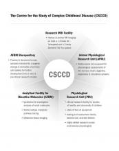 Organization chart for the Centre for Study of Complex Childhood Disease (CSCCD)