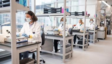 Personnel de laboratoire travaillant à des stations de travail individuelles.